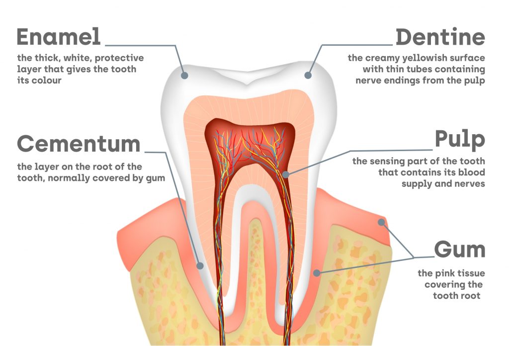 sensitive teeth